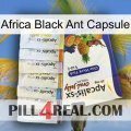 Africa Black Ant Capsule 11